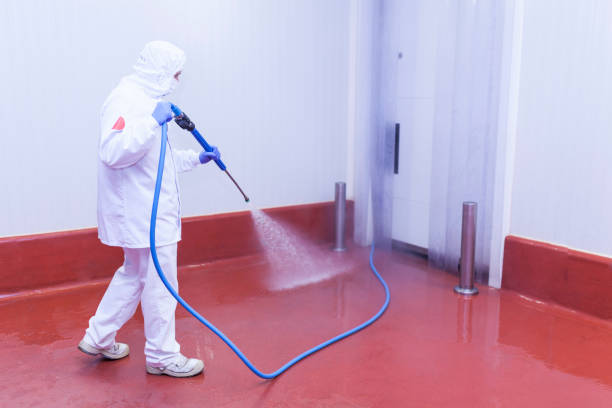 Reliable St Georges, DE Pressure Washing Solutions